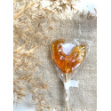 Honey lollipop 12.5g