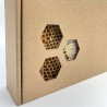 Cardboard box for honey room frame