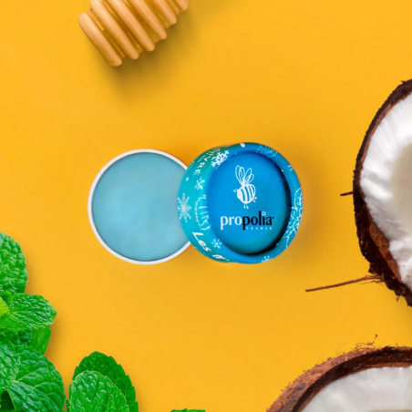 Refreshing BIO Lip Balm with Peppermint, 6 g