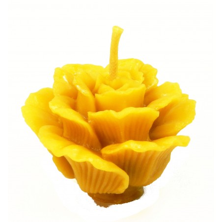 Vaska svece "Crimson roze"